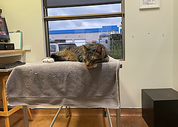 Repentigny Cliniques Vétérinaires Hôpital Vétérinaire Le Gardeur Inc.