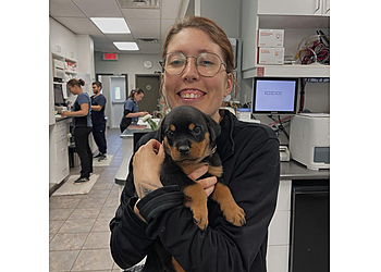 Saint Jean sur Richelieu Cliniques Vétérinaires Hôpital Vétérinaire St-Jean