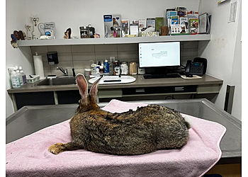 Laval veterinary clinic Hôpital Vétérinaire Ste-Rose