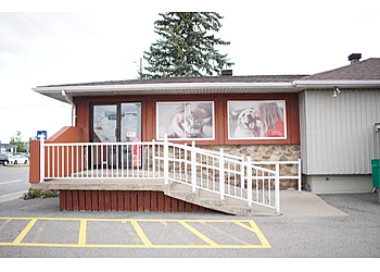 Laval Cliniques Vétérinaires Hôpital Vétérinaire Ste-Rose