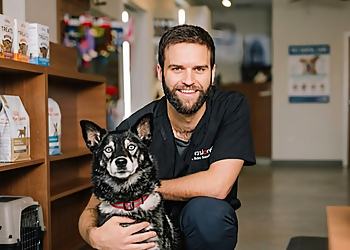 Hôpital Vétérinaire Val-Mauricie Inc. - Shawinigan, QC Veterinary Clinics - Doctor Working Image