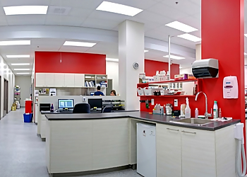 Hôpital Vétérinaire de l'Ormière - Quebec, QC Veterinary Clinics - Clinic Interior Image