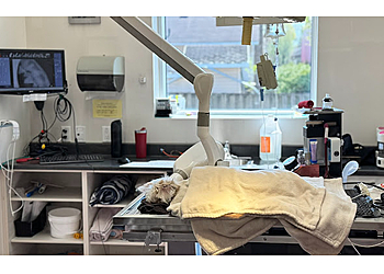 Quebec veterinary clinic Hôpital Vétérinaire de l'Ormière