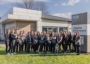 Saint Jean sur Richelieu Cliniques Vétérinaires Hôpital vétérinaire Iberville-Missisquoi inc.