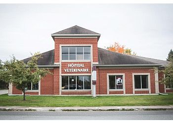Sherbrooke veterinary clinic Hôpital vétérinaire de L'Estrie Inc.