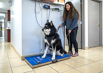 Caledon veterinary clinic Inglewood Veterinary Clinic