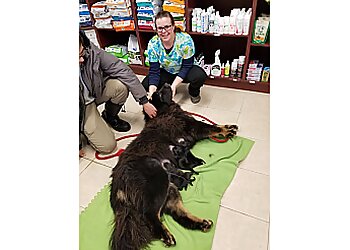 Caledon veterinary clinic Inglewood Veterinary Clinic