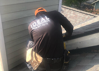 Surrey pest control Ideal Pest Control