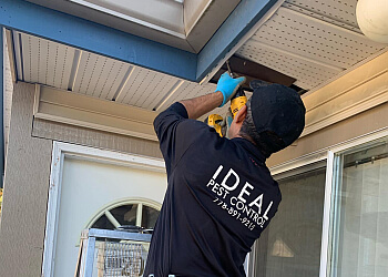 Surrey pest control Ideal Pest Control