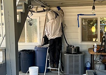 Delta pest control Ideal Pest Control Delta