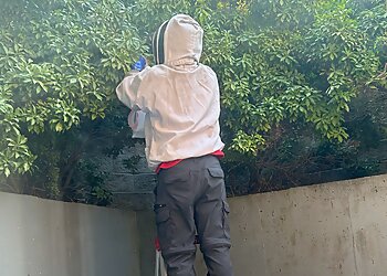 Delta pest control Ideal Pest Control Delta