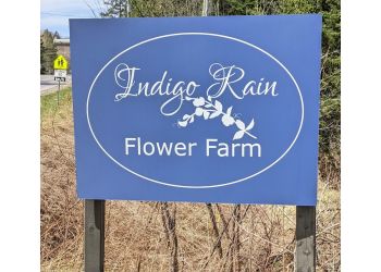 Indigo Rain Flower Farm
