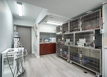 Inglewood Veterinary Clinic - Caledon, ON Veterinary Clinics - Healthcare Facility Image