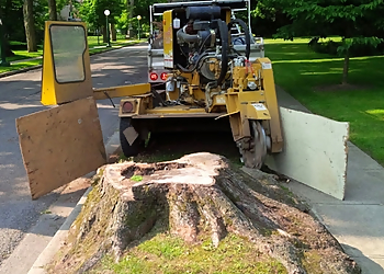 Ingold Tree Service Inc. Ingold Tree Service Inc. - Cambridge, ON Services d'arboriculteur - Service Vehicle Image