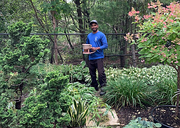 Burlington pest control Insight Pest Solutions