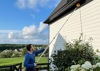 Huntsville Services d'extermination de parasites Insight Pest Solutions Huntsville