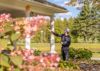 Montreal pest control Insight Pest Solutions Montréal