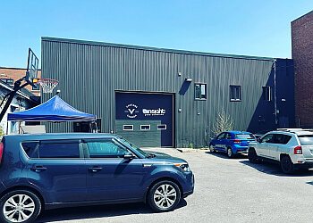 Montreal pest control Insight Pest Solutions Montréal