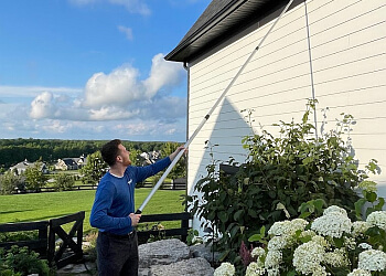 Ottawa Services d'extermination de parasites Insight Pest Solutions Ottawa