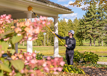 Pickering pest control Insight Pest Solutions Pickering