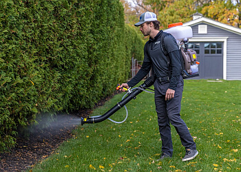 Pickering pest control Insight Pest Solutions Pickering