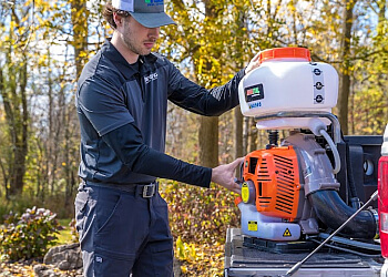 Richmond pest control Insight Pest Solutions Richmond