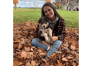 Levis Dresseurs De Chiens Institut Canin Prestance Et Élégance