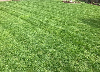 Kitchener lawn care service Integra-Turf Lawn Care