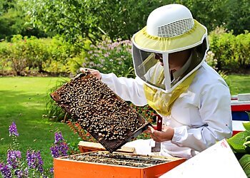 Mirabel Attraction touristiques Intermiel