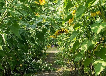 Mirabel Attraction touristiques Intermiel