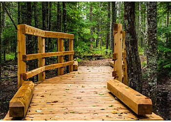 Moncton hiking trail Irishtown Nature Park