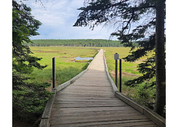 Saint John hiking trail Irving Nature Park
