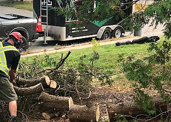 JFS Abattages & Élagages Inc. - Gatineau, QC Services d'arboriculteur - Residential Service Image