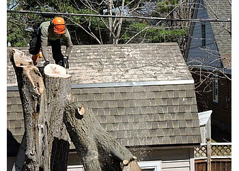 Gatineau tree service JFS Abattages & Élagages Inc.