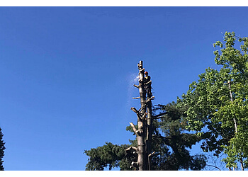 Gatineau tree service JFS Abattages & Élagages Inc.