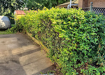 St Catharines Service D'Entretien De Pelouse JK Lawn and Landscape