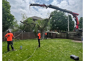 Guelph Services d'arboriculteur JL's Tree Service