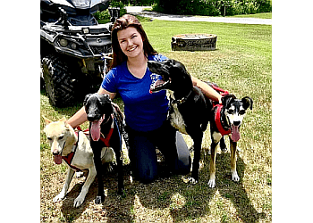 Belleville dog walker Just Four Paws