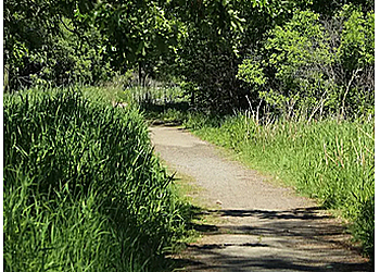 Belleville hiking trail Jane Forrester Park