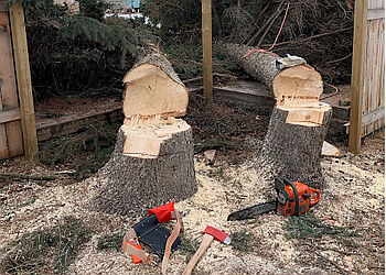 Grande Prairie tree service Jarvis Tree Services