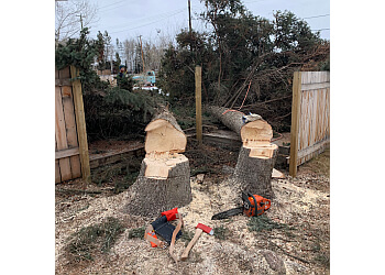 Jarvis Tree Services