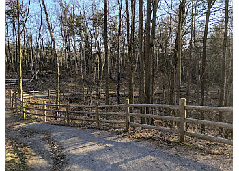 Richmond Hill Sentiers De Randonnée Jefferson Forest
