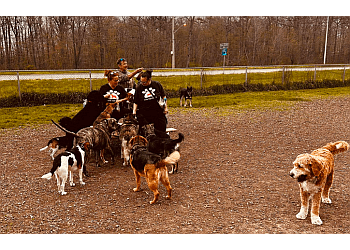 Mississauga dog walker Jenny's Dog Care