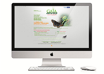 Granby web designer Jeremie Lacasse Graphiste