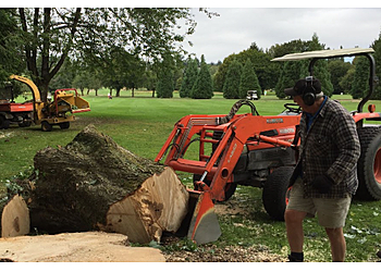 Coquitlam tree service Joca Tree Care