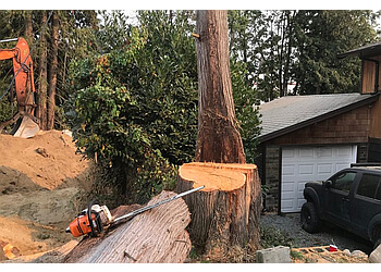 Chilliwack tree service Joe Skillen Tree Service Ltd.