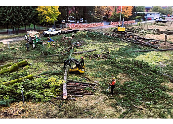 Chilliwack tree service Joe Skillen Tree Service Ltd.