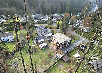 Chilliwack tree service Joe Skillen Tree Services Ltd.