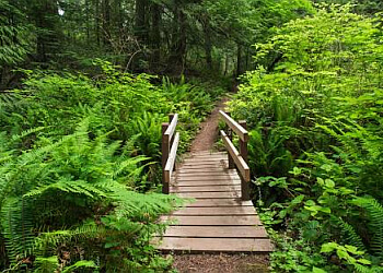 Saanich hiking trail ȽÁU,WELṈEW̱/John Dean Provincial Park