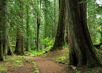 Saanich hiking trail ȽÁU,WELṈEW̱/John Dean Provincial Park